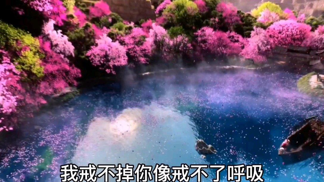 公主设计师大赛