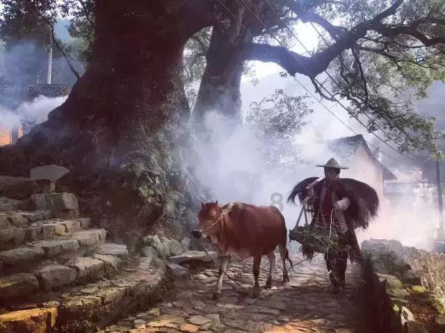 小魔仙跳舞