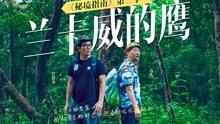 lisa感染新冠，真的假的？